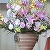 入学式の壇上花