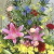 敬老の日壇上花