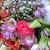 和の花束