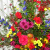 秋の草花アレンジ