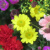 秋の小花アレンジ