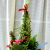 クリスマスツリーのアレンジ