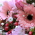 ピンクの花束