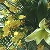 退職祝いの花束