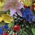 春の花束